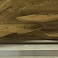 osbteraria 5